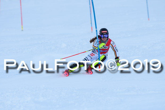 FIS Slalom + NJC Damen + FIS Herren 27.01.2019