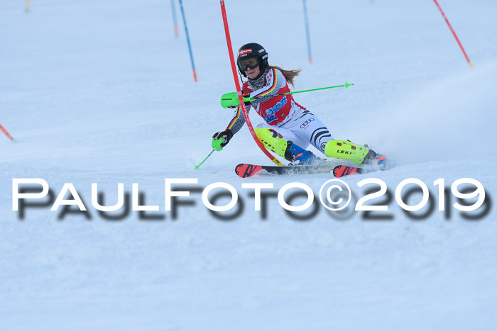 FIS Slalom + NJC Damen + FIS Herren 27.01.2019