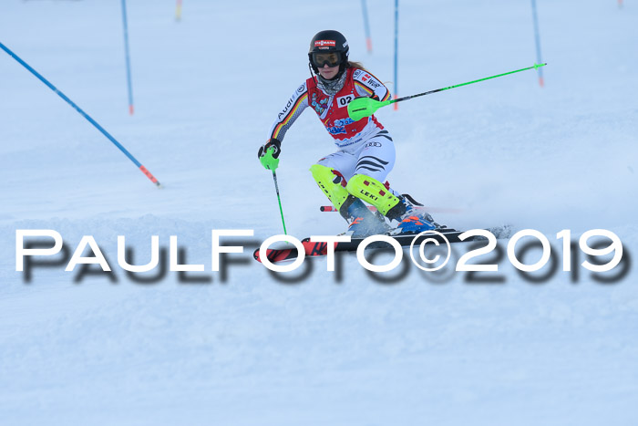 FIS Slalom + NJC Damen + FIS Herren 27.01.2019