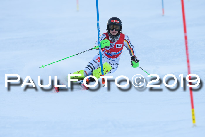 FIS Slalom + NJC Damen + FIS Herren 27.01.2019