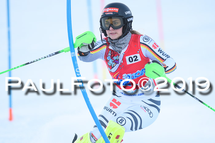 FIS Slalom + NJC Damen + FIS Herren 27.01.2019