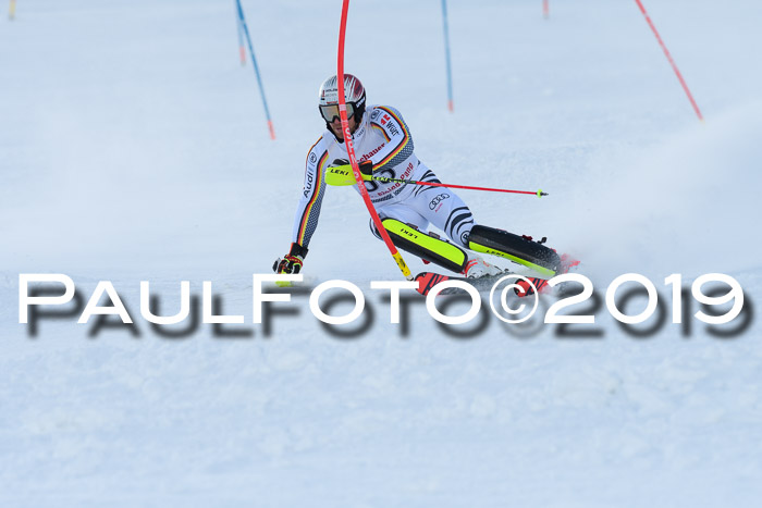 FIS Slalom + NJC Damen + FIS Herren 27.01.2019