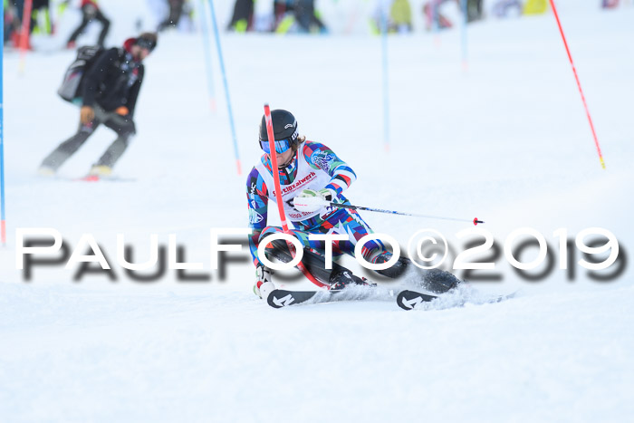 FIS Slalom + NJC Damen + FIS Herren 27.01.2019