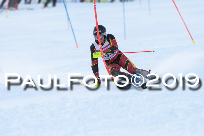 FIS Slalom + NJC Damen + FIS Herren 27.01.2019