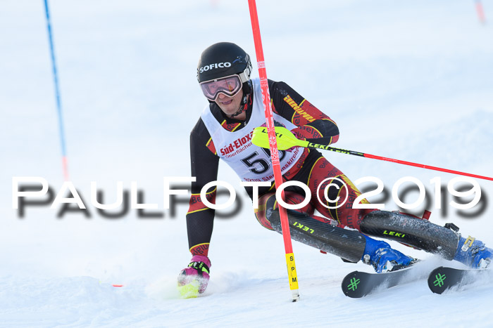 FIS Slalom + NJC Damen + FIS Herren 27.01.2019