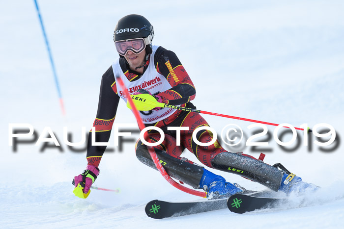 FIS Slalom + NJC Damen + FIS Herren 27.01.2019