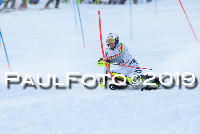 FIS Slalom + NJC Damen + FIS Herren 27.01.2019