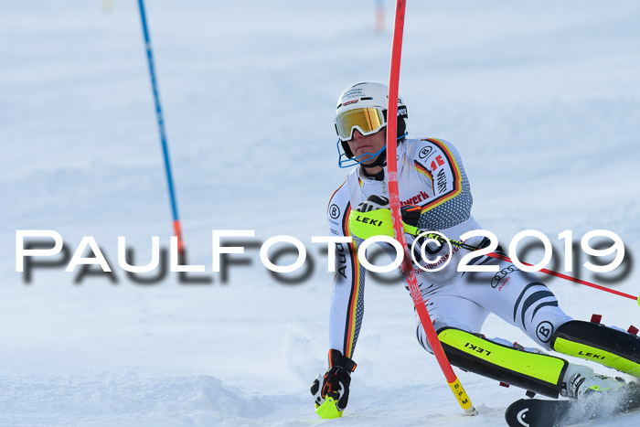 FIS Slalom + NJC Damen + FIS Herren 27.01.2019