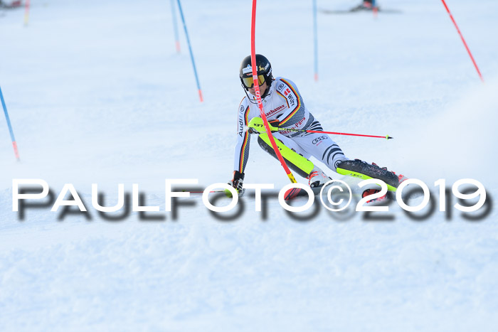 FIS Slalom + NJC Damen + FIS Herren 27.01.2019