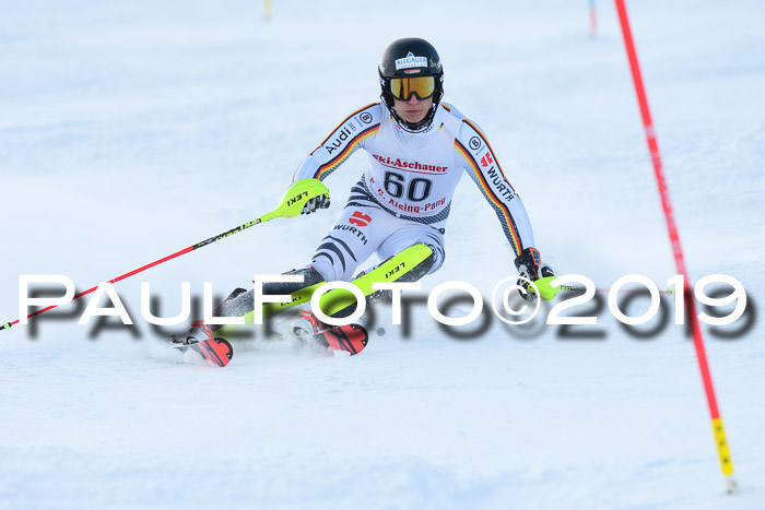 FIS Slalom + NJC Damen + FIS Herren 27.01.2019