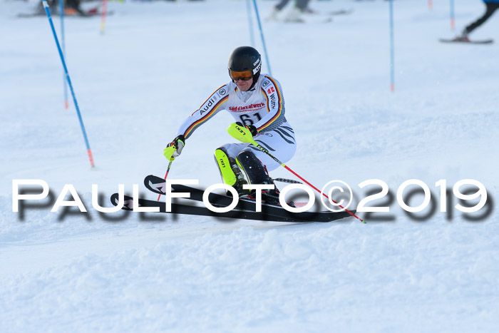 FIS Slalom + NJC Damen + FIS Herren 27.01.2019