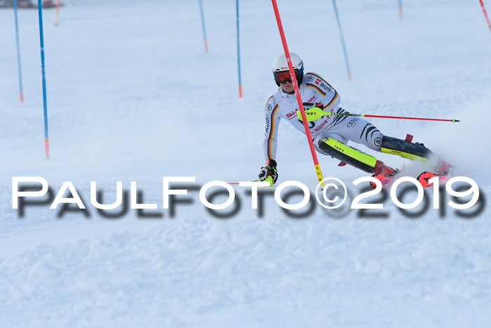 FIS Slalom + NJC Damen + FIS Herren 27.01.2019