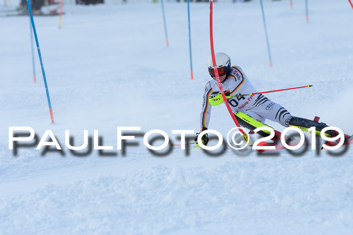 FIS Slalom + NJC Damen + FIS Herren 27.01.2019