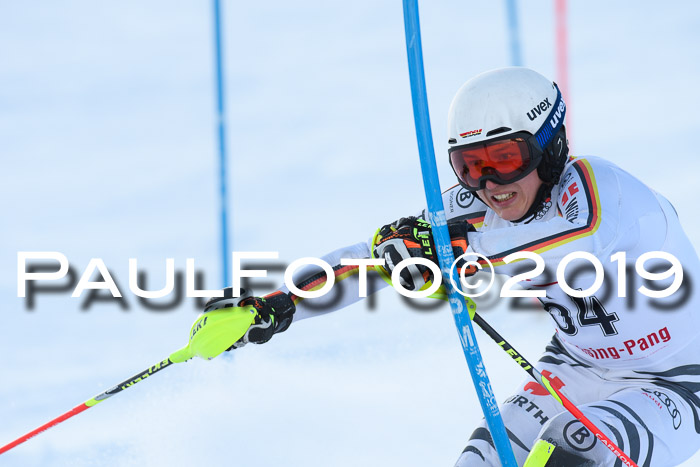 FIS Slalom + NJC Damen + FIS Herren 27.01.2019