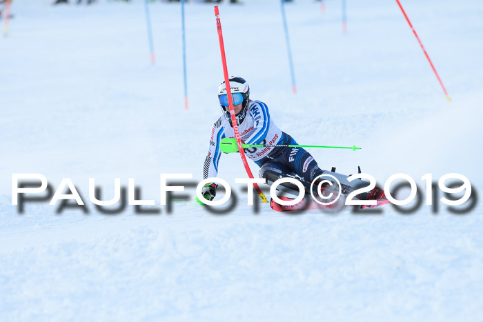 FIS Slalom + NJC Damen + FIS Herren 27.01.2019