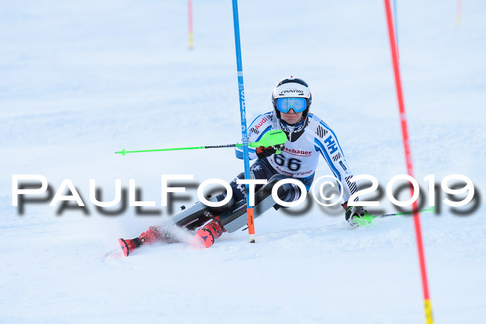FIS Slalom + NJC Damen + FIS Herren 27.01.2019