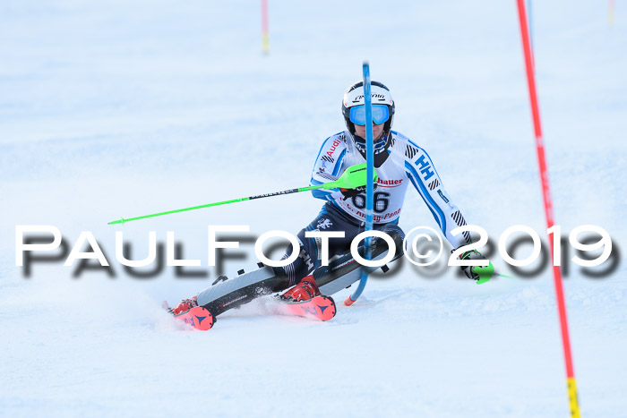 FIS Slalom + NJC Damen + FIS Herren 27.01.2019