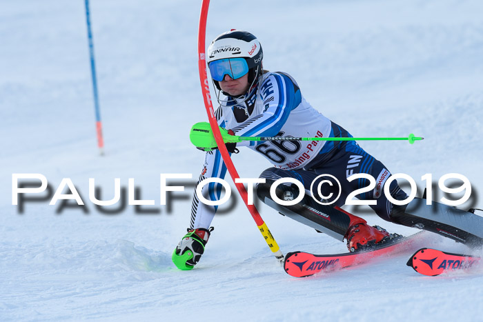 FIS Slalom + NJC Damen + FIS Herren 27.01.2019