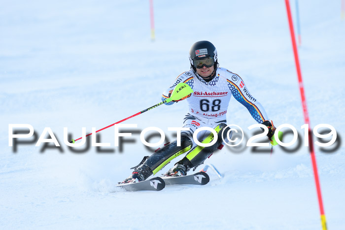 FIS Slalom + NJC Damen + FIS Herren 27.01.2019