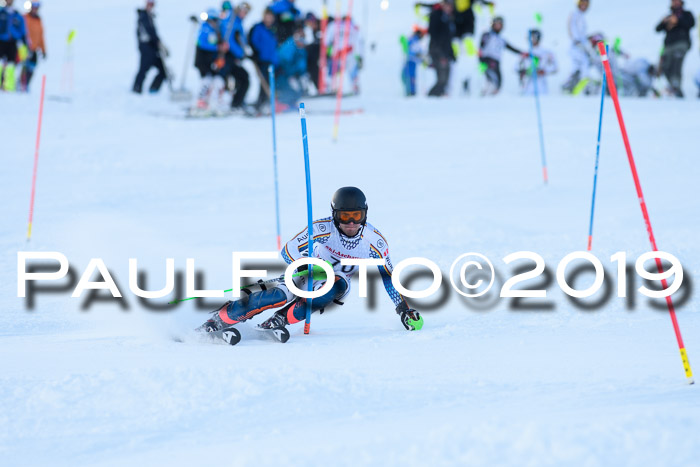 FIS Slalom + NJC Damen + FIS Herren 27.01.2019