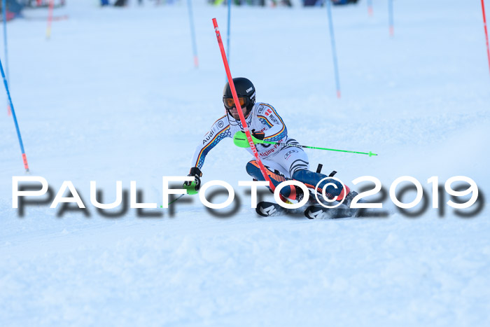 FIS Slalom + NJC Damen + FIS Herren 27.01.2019