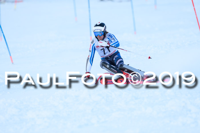 FIS Slalom + NJC Damen + FIS Herren 27.01.2019