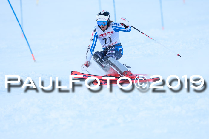 FIS Slalom + NJC Damen + FIS Herren 27.01.2019