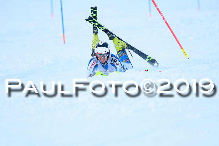 FIS Slalom + NJC Damen + FIS Herren 27.01.2019