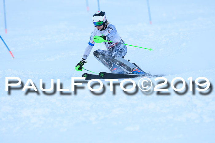 FIS Slalom + NJC Damen + FIS Herren 27.01.2019