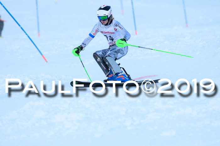 FIS Slalom + NJC Damen + FIS Herren 27.01.2019