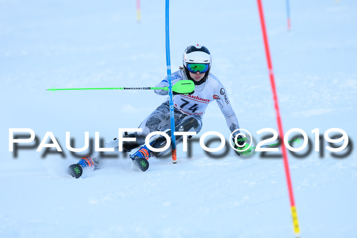 FIS Slalom + NJC Damen + FIS Herren 27.01.2019