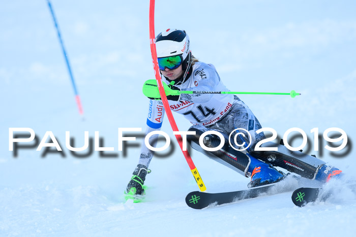 FIS Slalom + NJC Damen + FIS Herren 27.01.2019