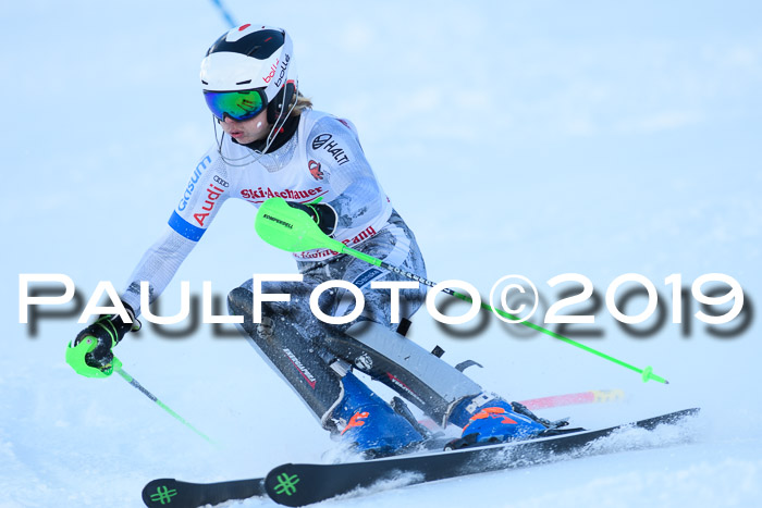 FIS Slalom + NJC Damen + FIS Herren 27.01.2019