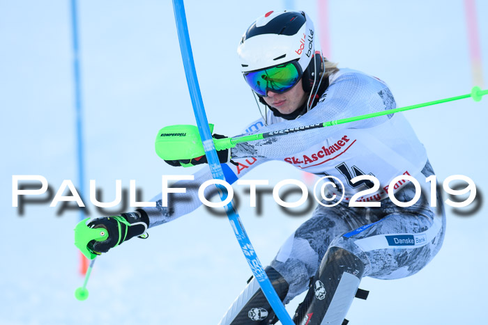 FIS Slalom + NJC Damen + FIS Herren 27.01.2019