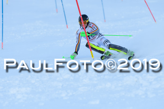 FIS Slalom + NJC Damen + FIS Herren 27.01.2019