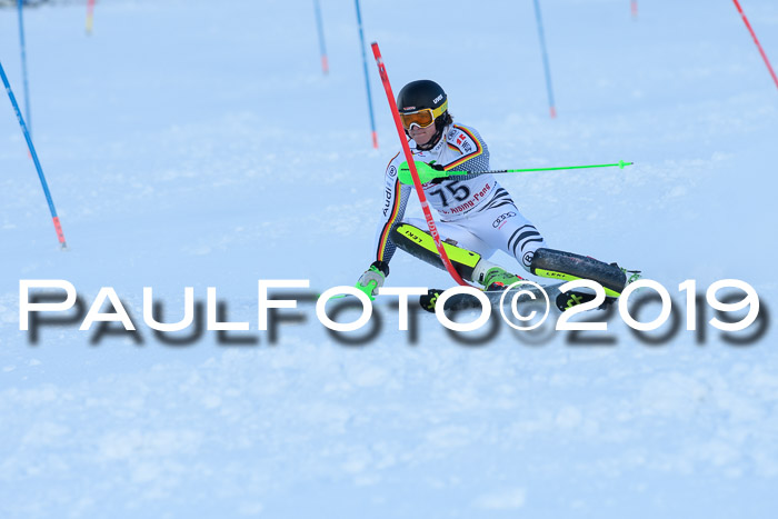 FIS Slalom + NJC Damen + FIS Herren 27.01.2019