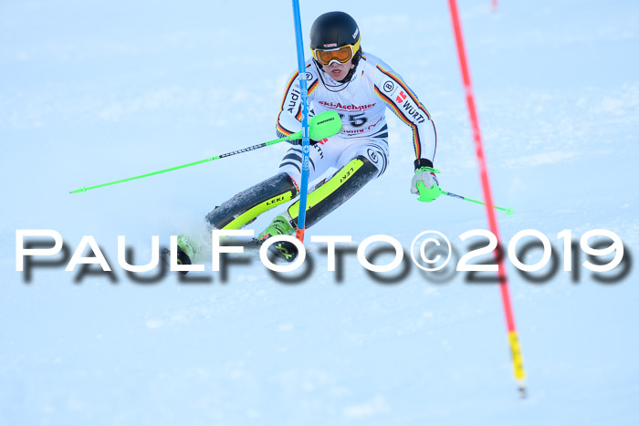FIS Slalom + NJC Damen + FIS Herren 27.01.2019