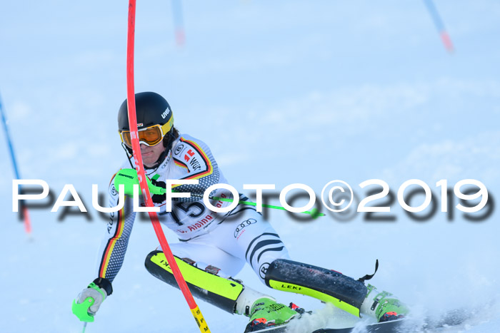 FIS Slalom + NJC Damen + FIS Herren 27.01.2019