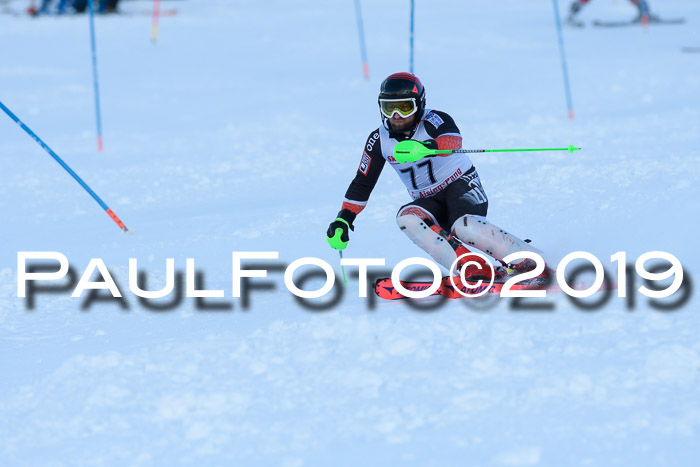 FIS Slalom + NJC Damen + FIS Herren 27.01.2019