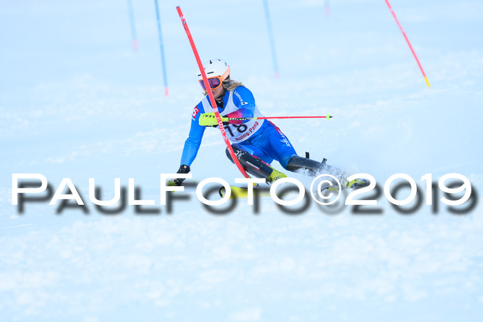 FIS Slalom + NJC Damen + FIS Herren 27.01.2019