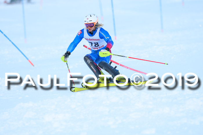 FIS Slalom + NJC Damen + FIS Herren 27.01.2019