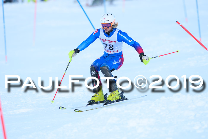 FIS Slalom + NJC Damen + FIS Herren 27.01.2019