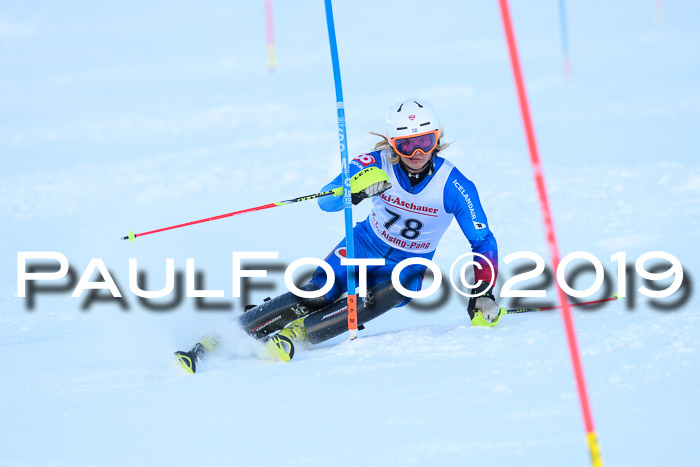 FIS Slalom + NJC Damen + FIS Herren 27.01.2019