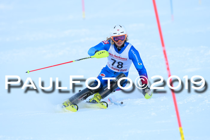 FIS Slalom + NJC Damen + FIS Herren 27.01.2019