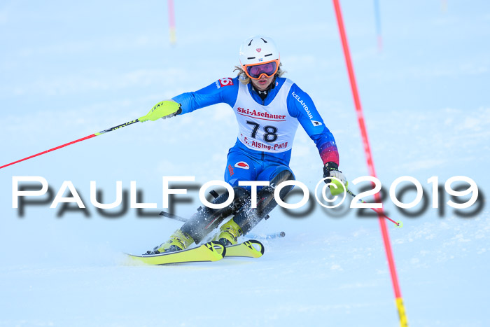 FIS Slalom + NJC Damen + FIS Herren 27.01.2019