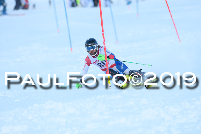 FIS Slalom + NJC Damen + FIS Herren 27.01.2019