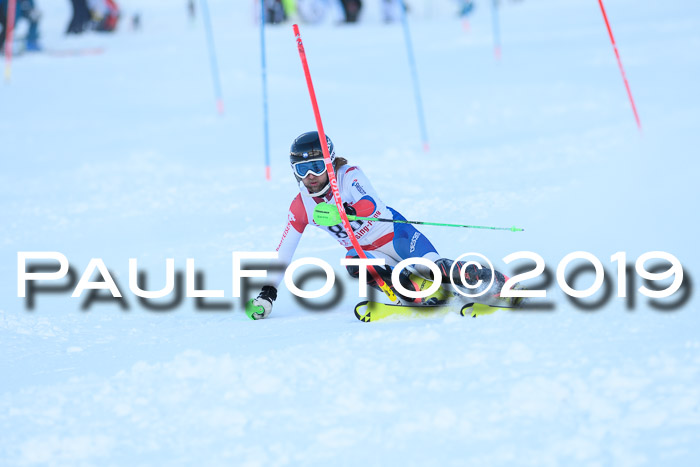 FIS Slalom + NJC Damen + FIS Herren 27.01.2019