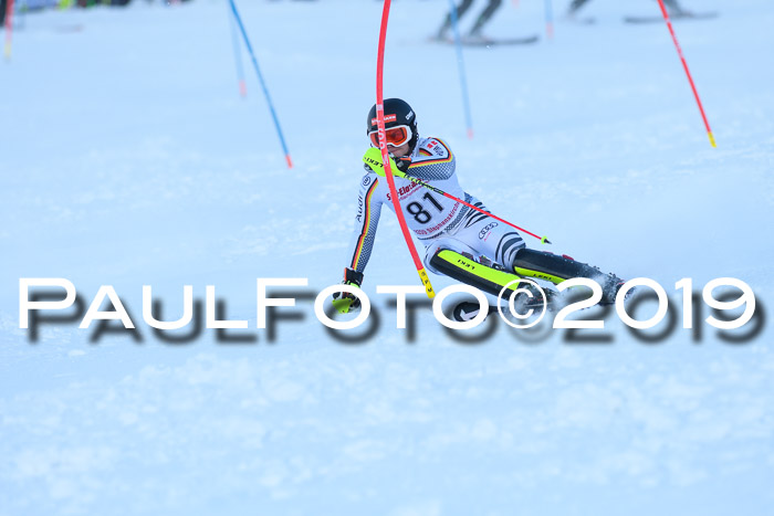 FIS Slalom + NJC Damen + FIS Herren 27.01.2019