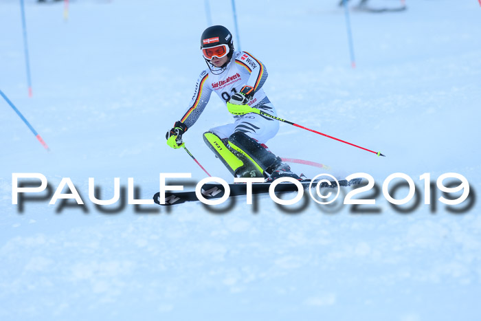 FIS Slalom + NJC Damen + FIS Herren 27.01.2019