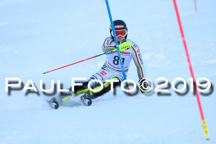 FIS Slalom + NJC Damen + FIS Herren 27.01.2019